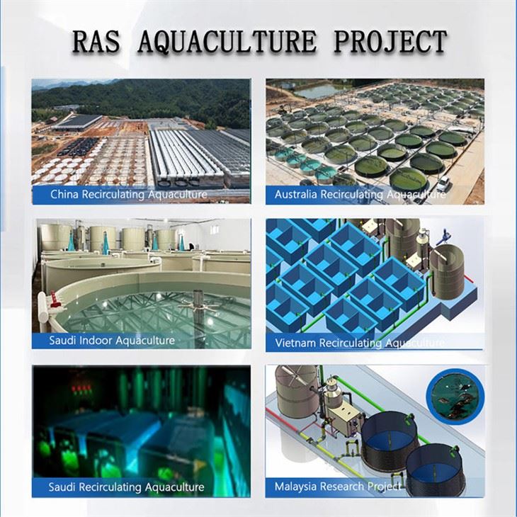 Recirculating Aquaculture System factory