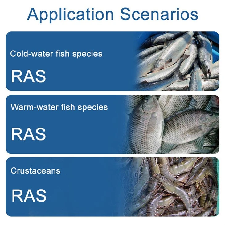 Recirculating Aquaculture System best