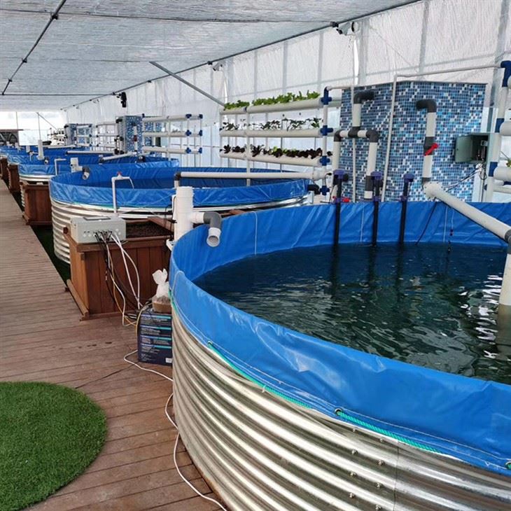 Recirculating Aquaculture System high quality
